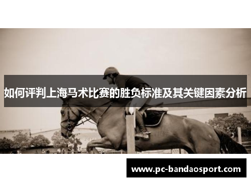 如何评判上海马术比赛的胜负标准及其关键因素分析