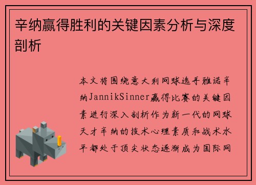 辛纳赢得胜利的关键因素分析与深度剖析