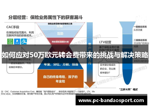 如何应对50万欧元转会费带来的挑战与解决策略