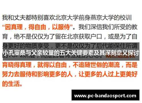 小孔塞桑与父亲较量的五大关键要素及其深刻意义探讨