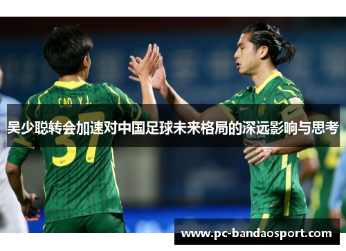 吴少聪转会加速对中国足球未来格局的深远影响与思考