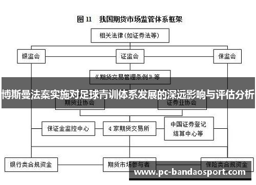 博斯曼法案实施对足球青训体系发展的深远影响与评估分析